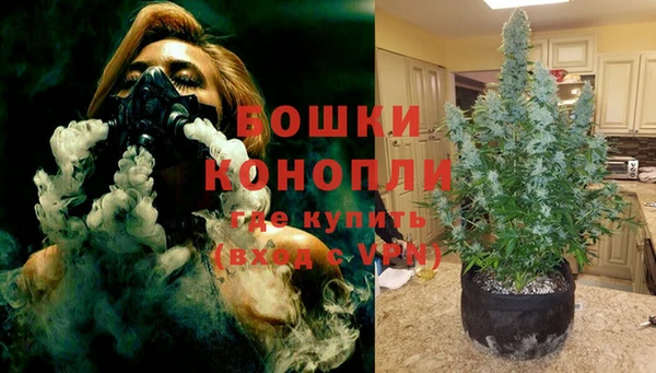 МДПВ Тавда